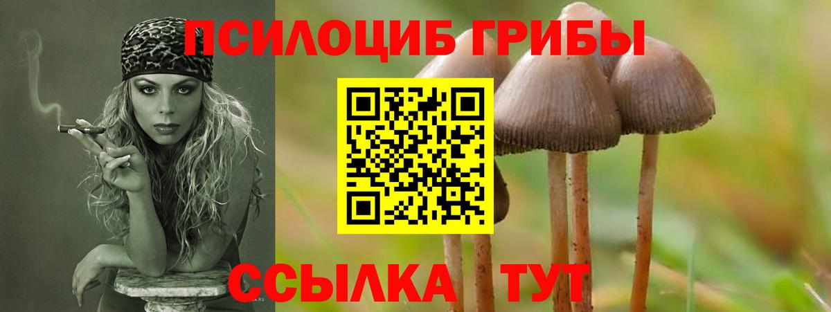 Галлюциногенные грибы прущие грибы  Вход с VPN  Нефтеюганск  Псилоцибиновые грибы Magic Shrooms 